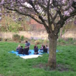 9 people sitting on a tarpaulin under a cherry blossom tree in Christ Church Memorial gardens with a man and child walking towards them and a row of gravestones leaning against the back wall of the gardens