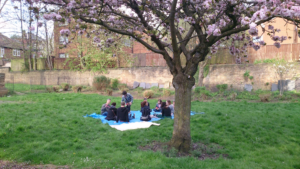 9 people sitting on a tarpaulin under a cherry blossom tree in Christ Church Memorial gardens with a man and child walking towards them and a row of gravestones leaning against the back wall of the gardens