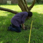 Rachel digging under the magnolia tree