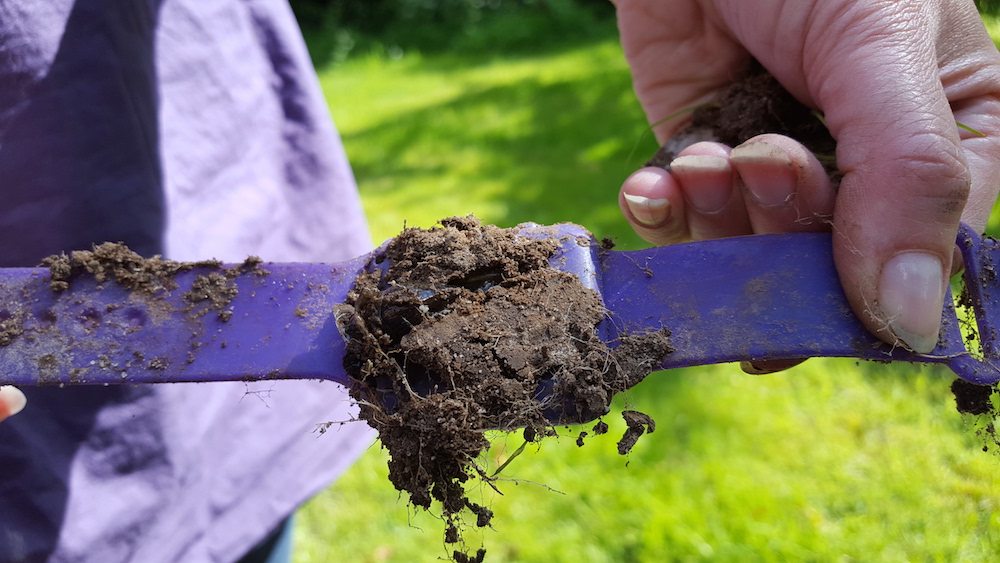 purple plastic watch covered in mud