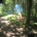 orange and blue smoke rising by the path
