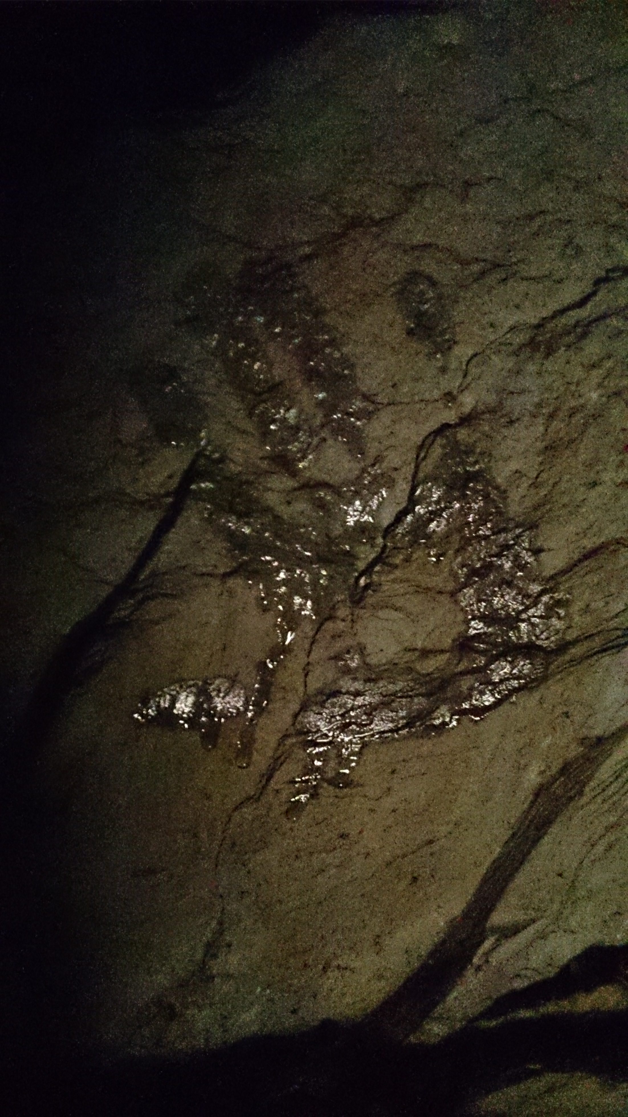 hand print in the cave